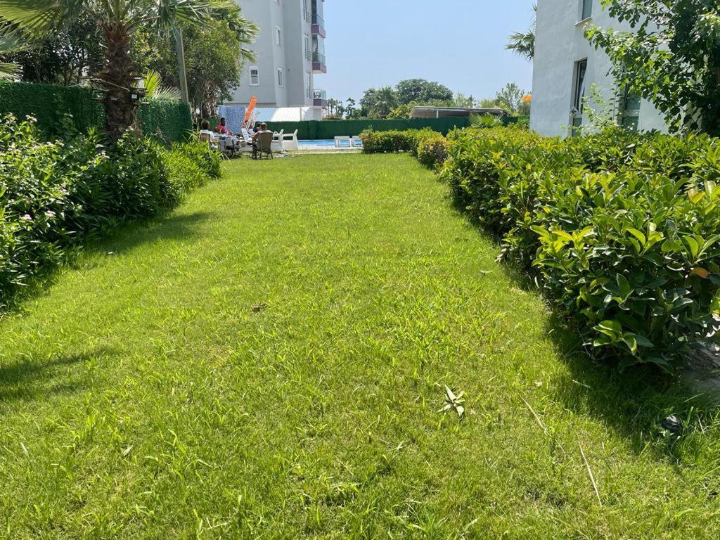 אנטליה Yelken Apart Hotel מראה חיצוני תמונה